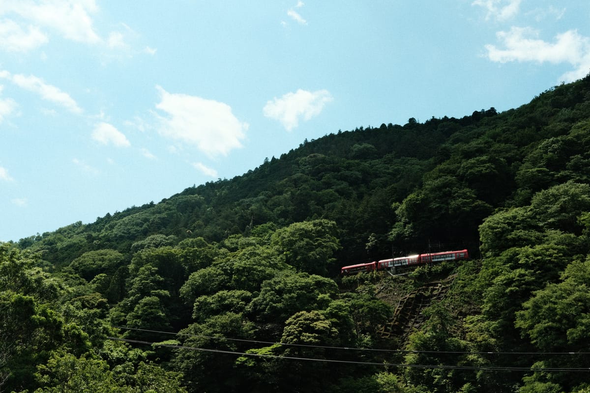 Japan: Food, Friends, Vibes